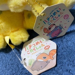 ハチュぬい
の画像