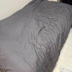 ソファベットの画像