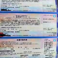 2025年にし阿波の花火大会チケット！6人テーブルA席・駐車場2台付きの画像