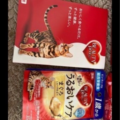 ビューティープロ　キャットフードの画像