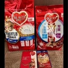 ビューティープロ　キャットフードの画像