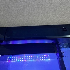 60㎝水槽セット コトブキの画像
