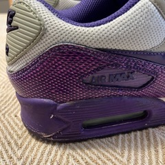 〈やや傷や汚れあり〉NIKE AIRMAX90 ESSENTIAL 25.0cm パープル×ターコイズの画像