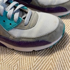 〈やや傷や汚れあり〉NIKE AIRMAX90 ESSENTIAL 25.0cm パープル×ターコイズの画像