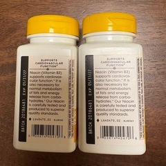 ナイアシン ・ビタミンB3   100mg/ 100粒   2セット  の画像