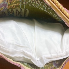 ディズニー　ラプンツェル　クッションの画像
