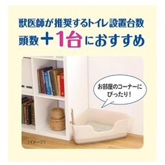 《9/15-9/20引取限定》猫トイレ　猫グッズ　トイレ　猫用品の画像