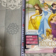 未使用ディズニープリンセスアルバム　台紙10枚の画像