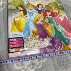 未使用ディズニープリンセスアルバム　台紙10枚の画像