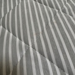 ニトリ　接触冷感ラグの画像