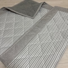 ニトリ　接触冷感ラグの画像
