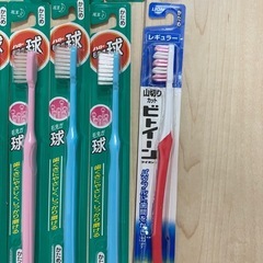 歯ブラシ　20本セットの画像