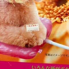 美品！犬猫用ドギーマン　テキオンヒーター角形Mの画像