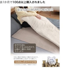 電気毛布 敷き 掛け兼用 節電 4段階タイマー 140×80cm ライトブラウンの画像