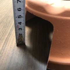 爬虫類 トカゲシェルター
の画像