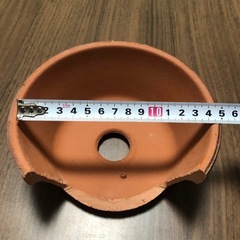 爬虫類 トカゲシェルター
の画像