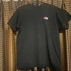 THE NORTH FACE メッシュTシャツの画像