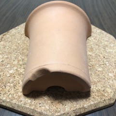 爬虫類 トカゲシェルター
の画像