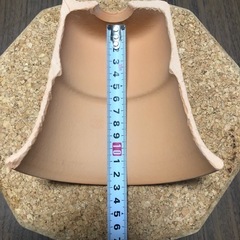 爬虫類 トカゲシェルター
の画像