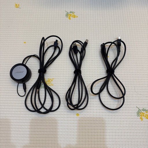 Bose COMPANION 5 コンパニオン 5 ポーズ