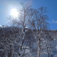 《関西》社会人SNOWBOARD：FTC　※25-26シーズン募集中！