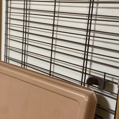 ペットケージ　サークル　犬の画像