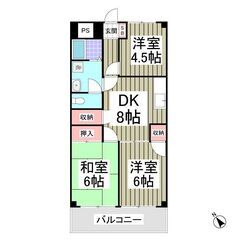 EO✨初期費用分割相談可能⭐敷金ゼロ、礼金ゼロ、ネット使用…