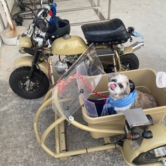 中華モンキー　サイドカー　５０cc原付き側車付き　手渡しのみの画像