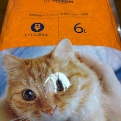 猫砂 6L 3袋半の画像