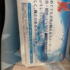 水槽　金魚　メダカの画像