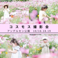 10/16.18.19 コスモス撮影会【アンデルセン公園】