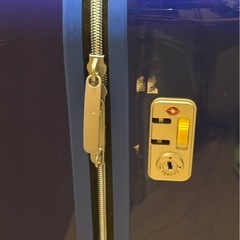 イノベーター　スーツケースの画像