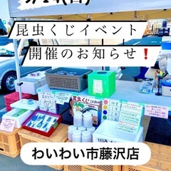 ☘️昆虫くじイベント開催☘️わいわい市藤沢店✨9/14(日)✨
