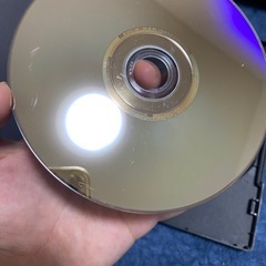 ペットの画像