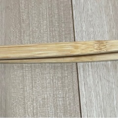 爬虫類の水入れとピンセットの画像