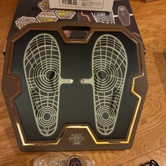 保坂尚輝　フットエナジープロの画像