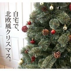 北欧　クリスマスツリー　未使用に近い 150cmの画像