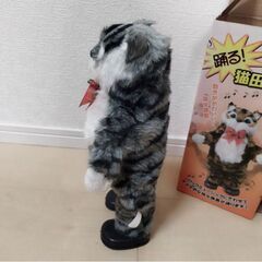踊る！ジャンキーな猫田係長 の画像