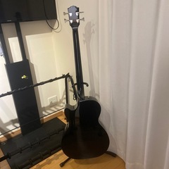 fender アコースティックベース　acoustic bassの画像