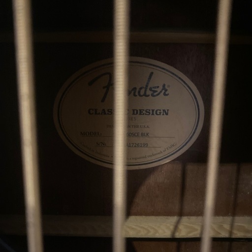 fender アコースティックベース　acoustic bass
