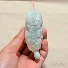 【未使用】しろたん　プチ マスコットの画像