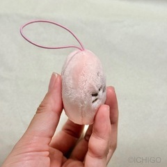 【未使用】しろたん プチ マスコット_水色・ピンク セットの画像