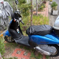 HONDA    TODAYの画像