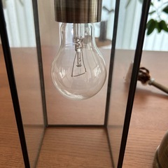 インターフォルム　照明の画像