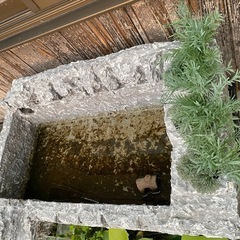 簡易池　水槽　の画像