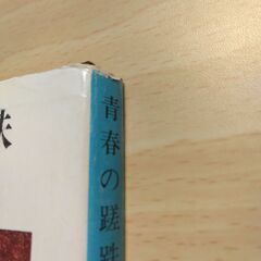 『青春の蹉跌』石川達三　新潮文庫の画像