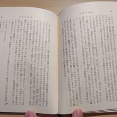『青春の蹉跌』石川達三　新潮文庫の画像