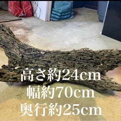 流木　インテリアの画像