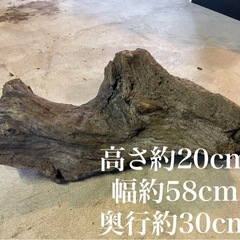 流木　インテリアの画像