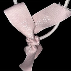 DIOR ブランド袋の画像